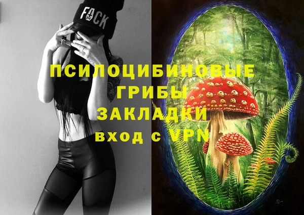 PSILOCYBIN Гусь-Хрустальный